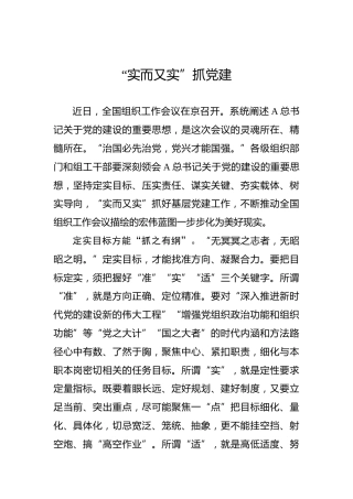 “实而又实”抓党建