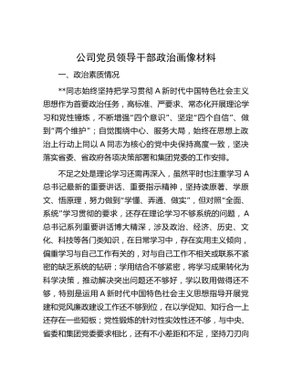公司党员领导干部政治画像