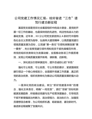 公司党建工作经验总结汇报