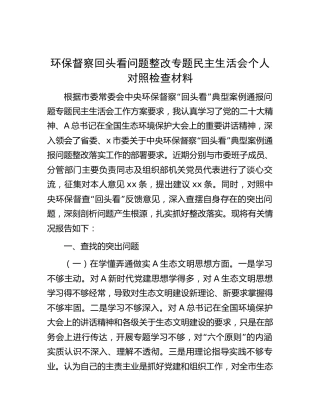 环保督察回头看问题整改专题民主生活会个人对照检查
