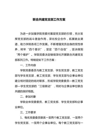 联合共建党支部工作方案（学校党建共建）
