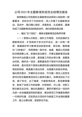 公司2023年主题教育阶段性总结情况报告6300字