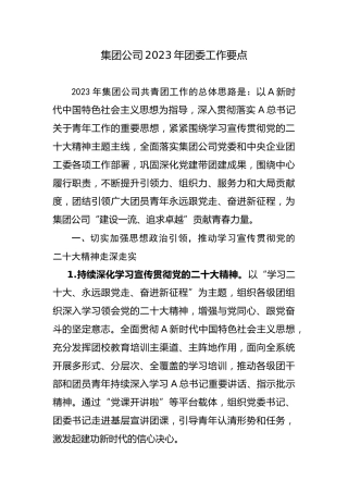 公司2023年团委工作要点