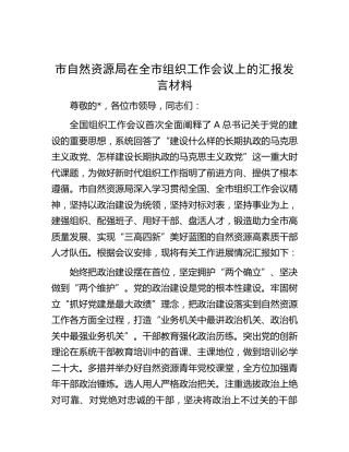 市自然资源局在全市组织工作会议上的汇报发言