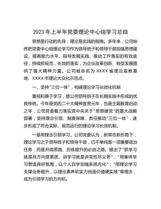 公司2023年上半年理论中心组学习总结