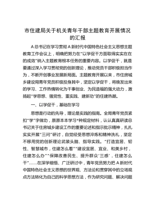 市住建系统青年干部主题教育开展情况的汇报（2200字总结）