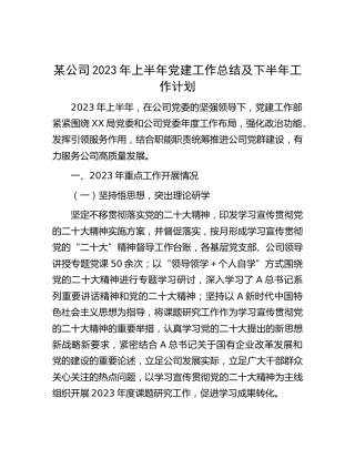 公司2023年上半年党建工作总结