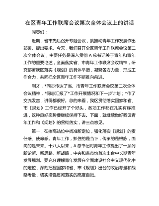 在区青年工作联席会议上的讲话