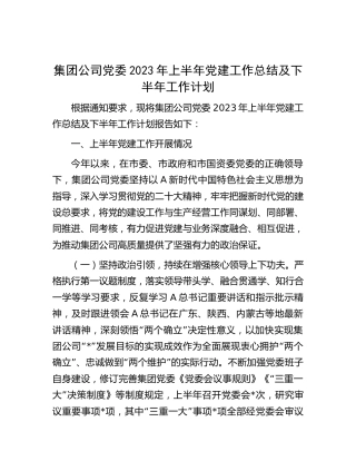 公司2023年上半年党建工作总结（2）