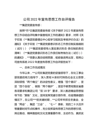 公司2022年宣传思想工作自评总结报告