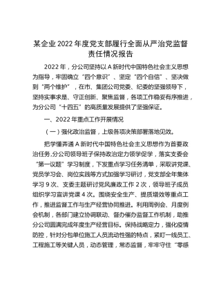 公司2022年度党支部履行全面从严治党监督责任情况报告