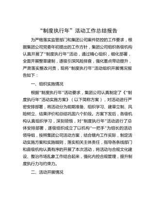 公司“制度执行年”活动工作总结报告