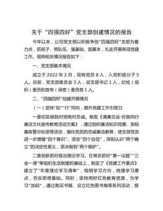 公司“四强四好”党支部创建情况总结报告