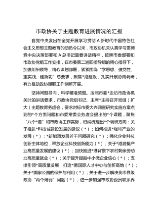 市政协主题教育进展情况总结汇报2600字