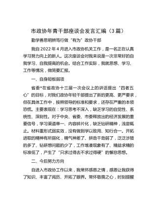 市政协青年干部座谈会发言（3篇）