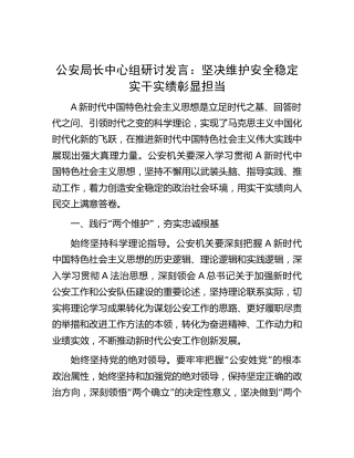 公安系统中心组研讨发言：坚决维护安全稳定 实干实绩彰显担当