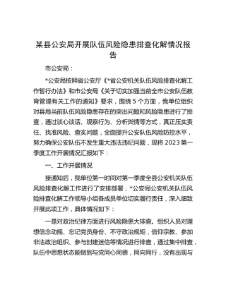公安系统开展队伍风险隐患排查化解情况报告