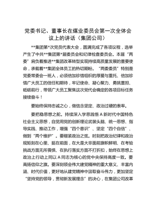 在煤业委员会第一次全体会议上的讲话（公司）