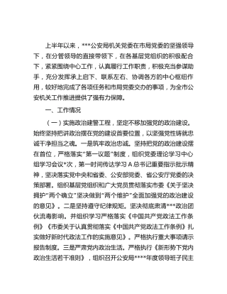公安系统2023年上半年党建工作总结