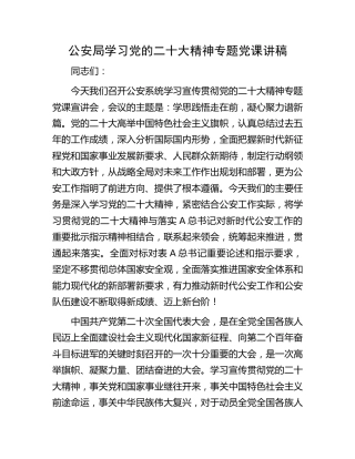 公安系统20th大精神专题党课