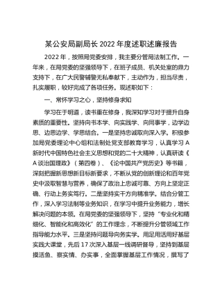 公安局副局长2022年度述职述廉报告(1)