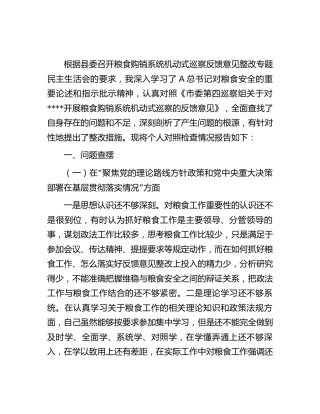 在粮食购销系统机动式巡察反馈意见整改专题民主生活会个人对照检查