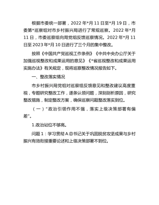 市乡村振兴系统落实巡察反馈意见整改情况的总结报告
