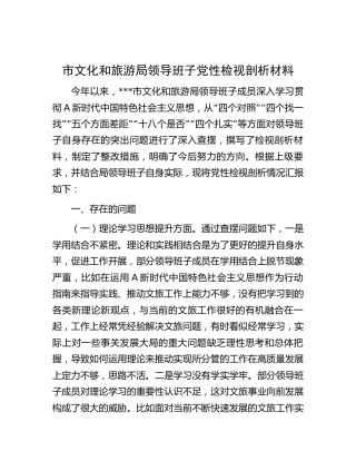 市文旅系统领导班子党性检视剖析报告4900字