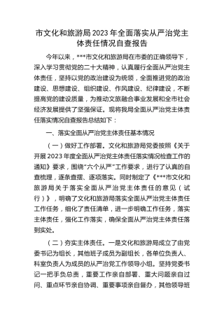 市文旅系统2023年全面落实从严治党主体责任情况自查总结报告
