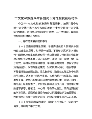 市文旅领导党性检视剖析