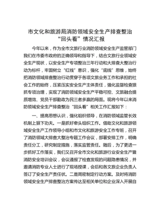 市文旅局消防领域安全生产排查整治“回头看”情况汇报