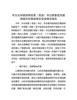 市文旅局书记抓基层党建突破项目推进落实完成情况报告