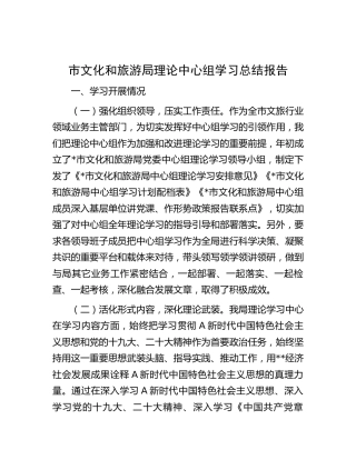 市文旅局理论中心组学习总结报告