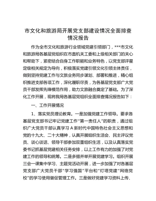 市文旅局开展党支部建设情况全面排查情况报告
