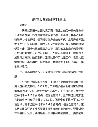 副市长在调研时的讲话