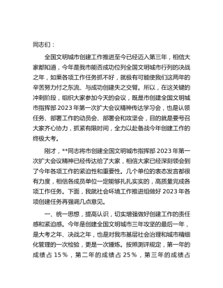 副市长在创城社会环境工作推进组工作推进会议上的讲话