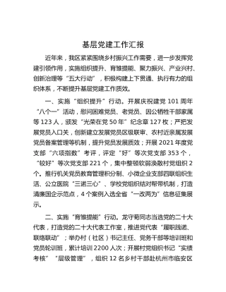 基层党建工作汇报 (2)