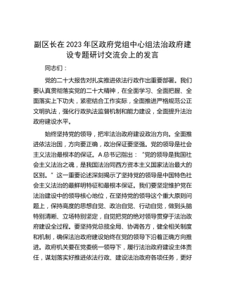 副区长在中心组法治政府建设专题研讨交流会上的发言