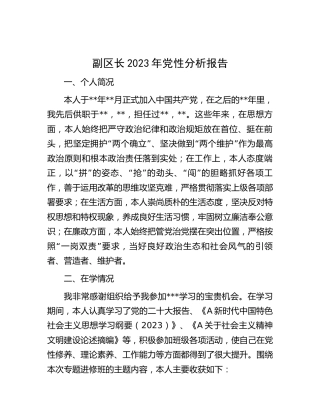 副区长2023年党性分析报告3200字
