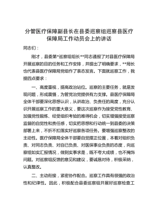分管医疗保障副县长在巡察组巡察医保系统工作动员会上的讲话