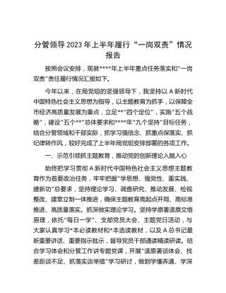 分管领导2023年上半年履行“一岗双责”情况总结报告