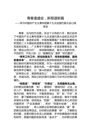 基层干部学习共青团十九大精神心得体会