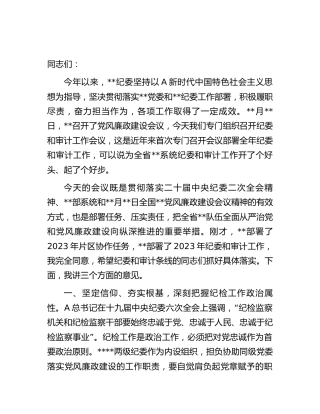 在纪委和审计工作会上的讲话