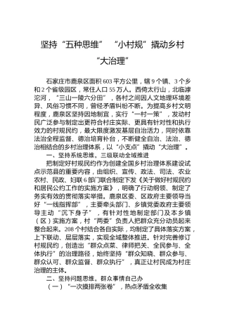 坚持“五种思维” “小村规”撬动乡村“大治理”