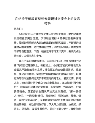 在纪检监察干部教育整顿专题研讨交流会上的发言