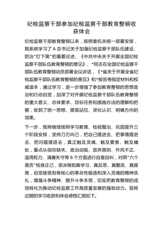 纪检监察干部参加纪检监察干部教育整顿收获体会
