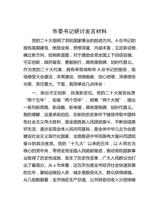市委书记二十大研讨发言材料