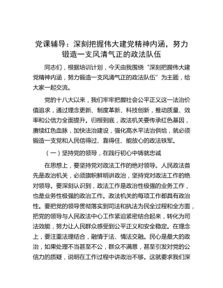 党课：深刻把握伟大建党精神内涵，努力锻造一支风清气正的政法队伍