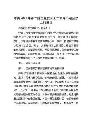 市委2023年第二批主题教育工作领导小组会议上的讲话2000字
