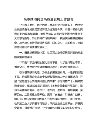 市推动民企高质量发展工作报告